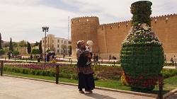 Karim Khan Citadel